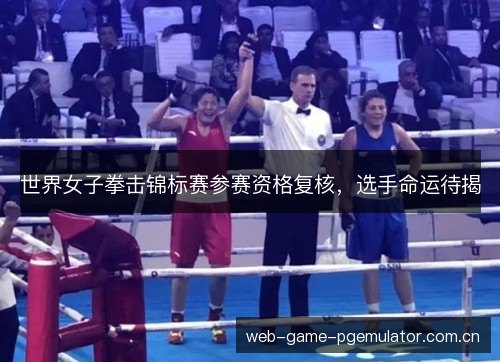 世界女子拳击锦标赛参赛资格复核,选手命运待揭 世界女子拳击锦标赛参赛资格复核,选手命运待揭