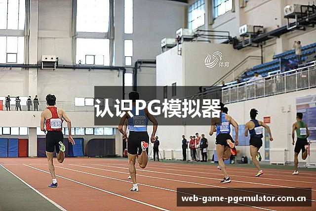 认识PG模拟器